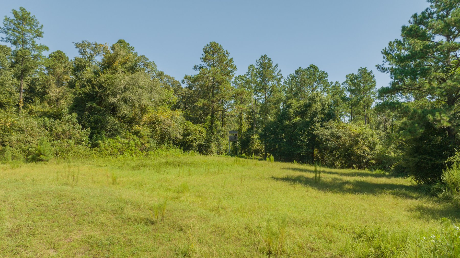 Image for 602+/- Acres - Hardwick Place - Henry County, AL
