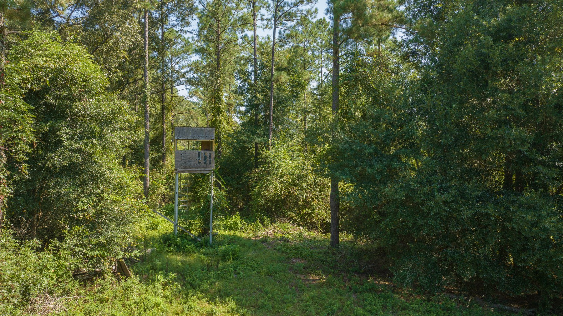 Image for 602+/- Acres - Hardwick Place - Henry County, AL