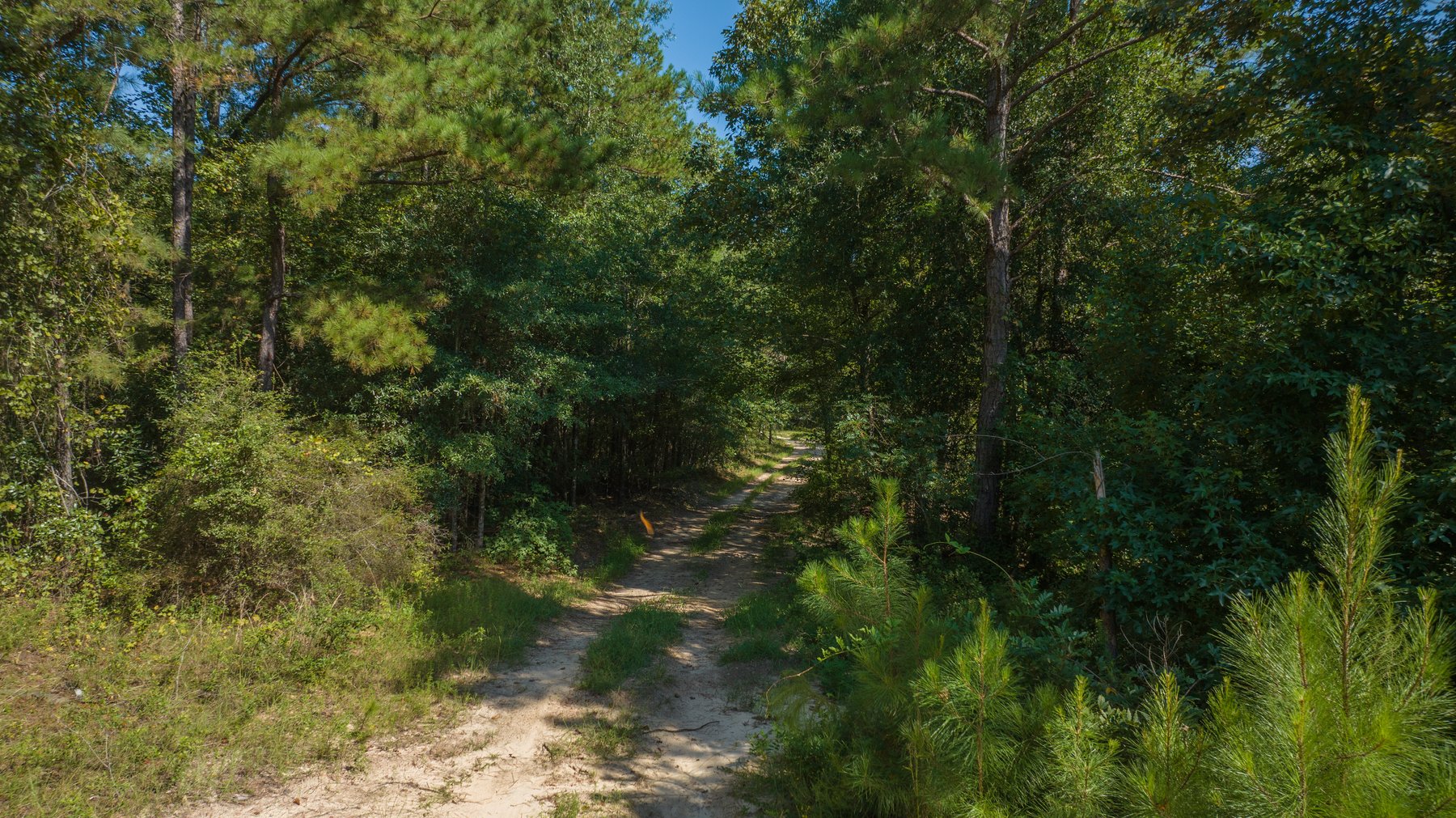 Image for 602+/- Acres - Hardwick Place - Henry County, AL