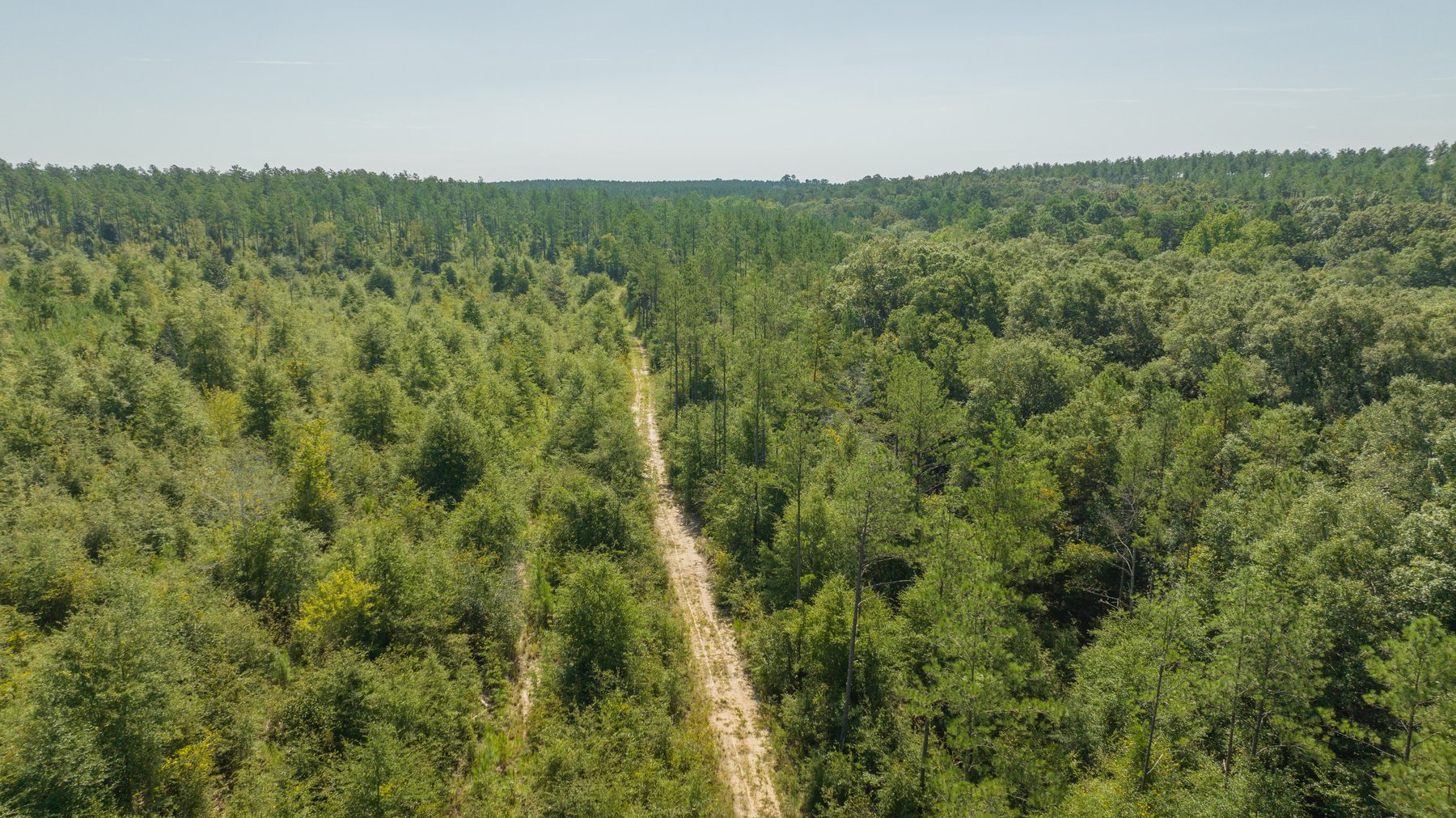 Image for 602+/- Acres - Hardwick Place - Henry County, AL