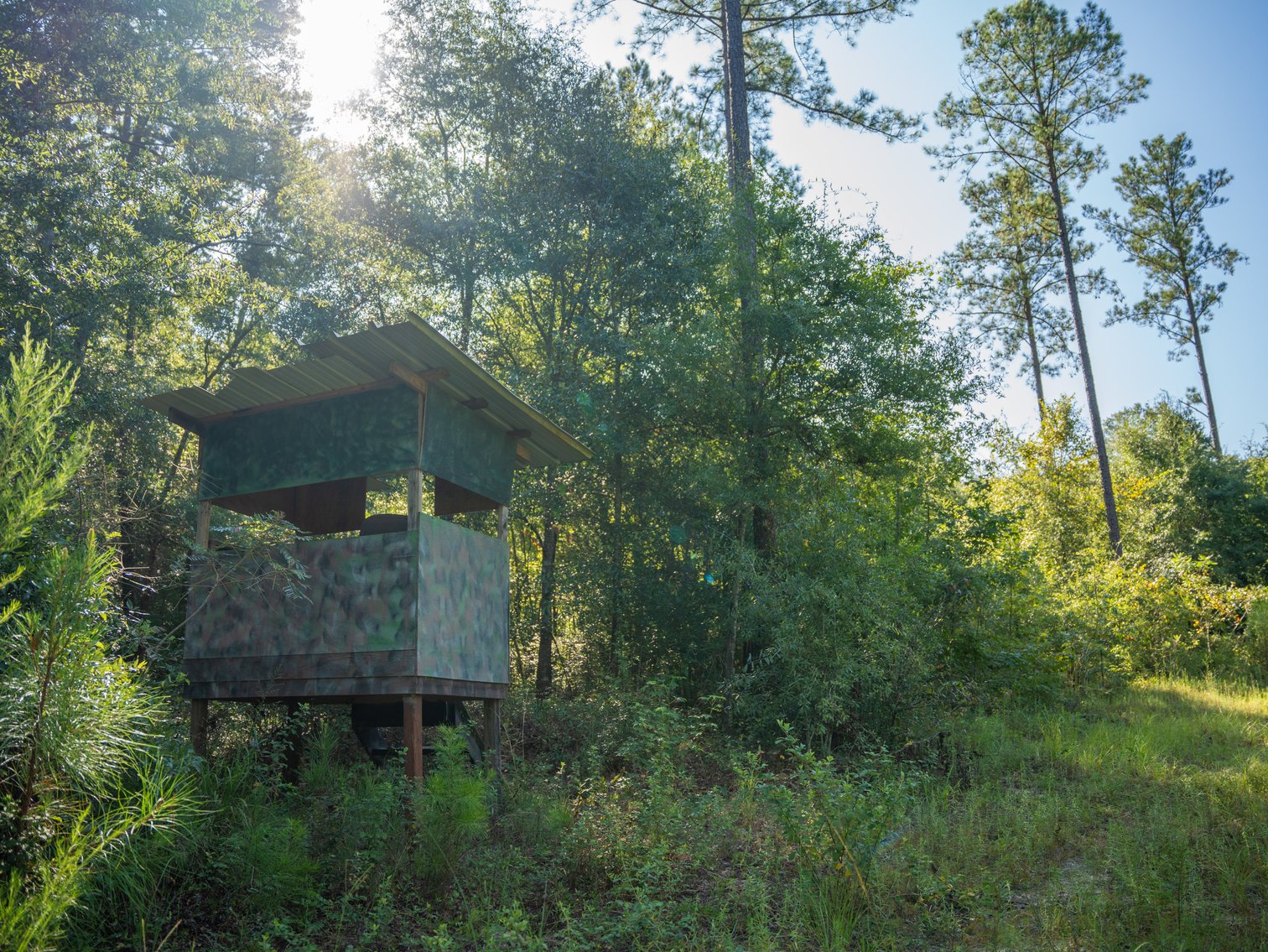 Image for 602+/- Acres - Hardwick Place - Henry County, AL