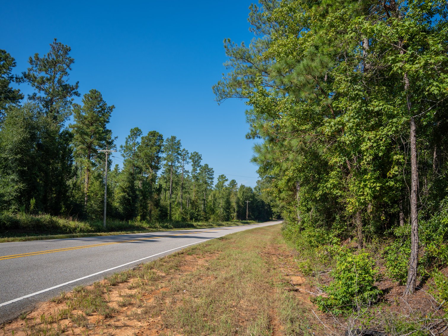 Image for 602+/- Acres - Hardwick Place - Henry County, AL