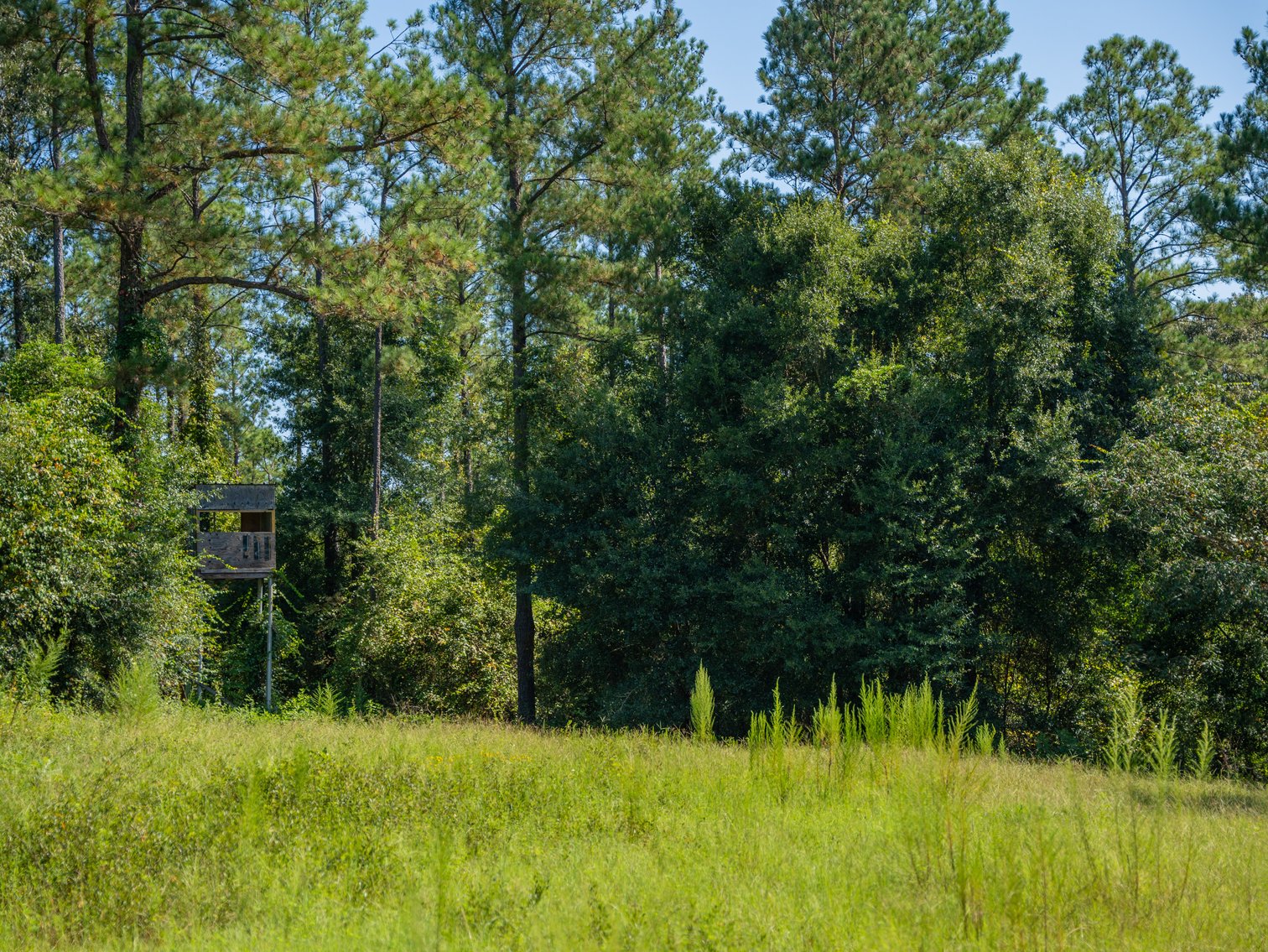Image for 602+/- Acres - Hardwick Place - Henry County, AL