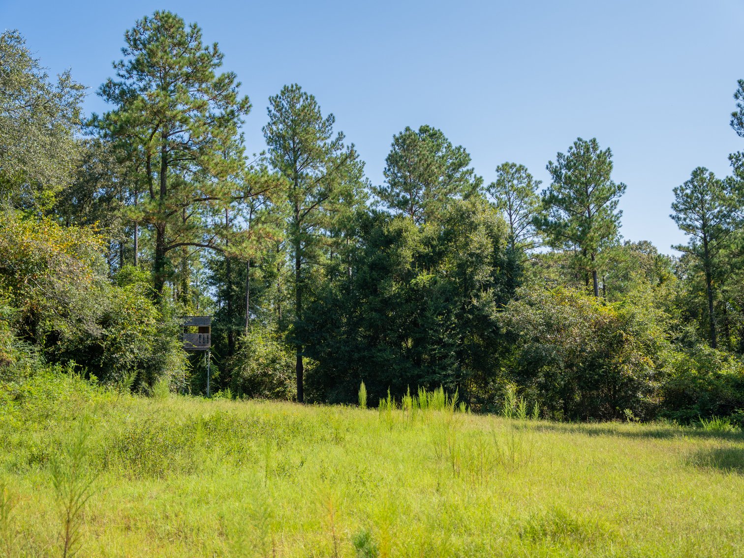 Image for 602+/- Acres - Hardwick Place - Henry County, AL