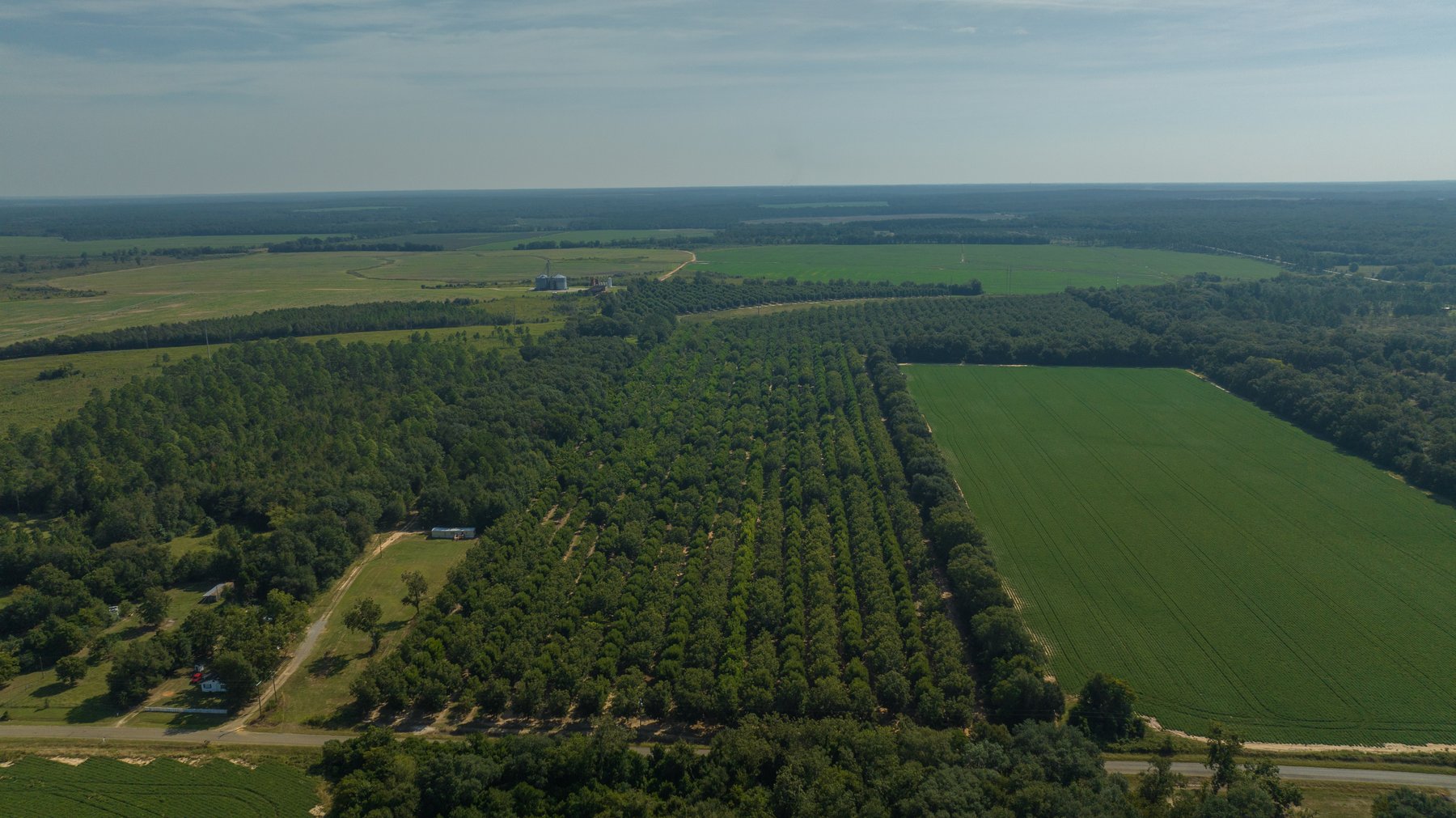Image for 75+/- Acres - Vines Grove - Turn-Key Pecan Operation