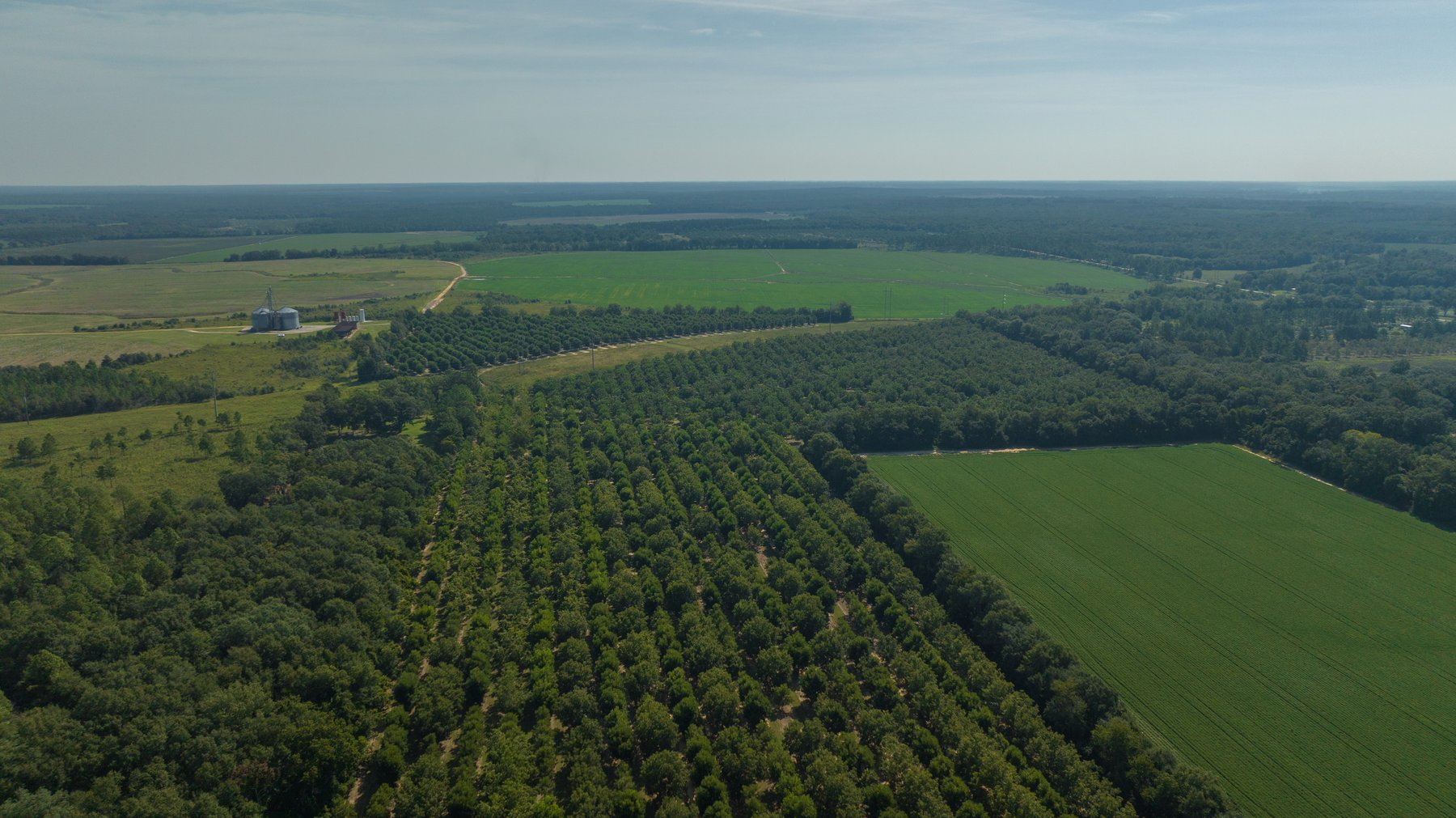 Image for 75+/- Acres - Vines Grove - Turn-Key Pecan Operation