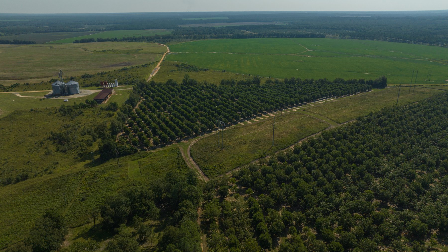 Image for 75+/- Acres - Vines Grove - Turn-Key Pecan Operation