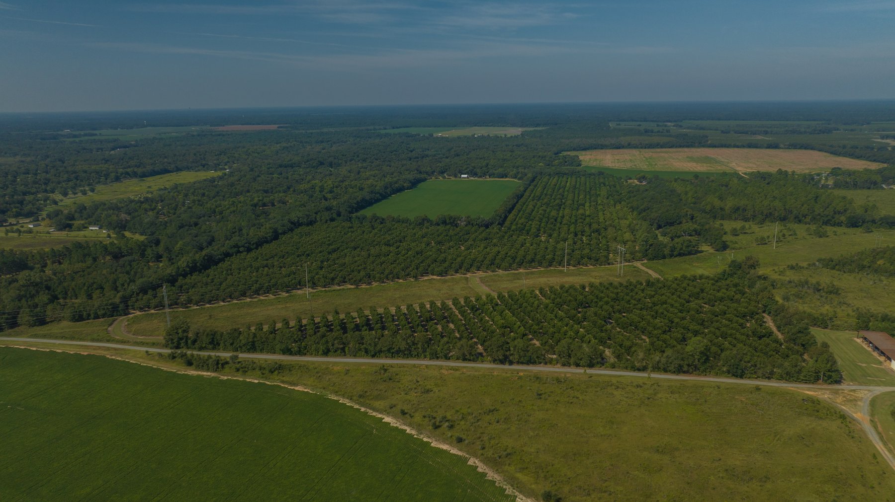 Image for 75+/- Acres - Vines Grove - Turn-Key Pecan Operation