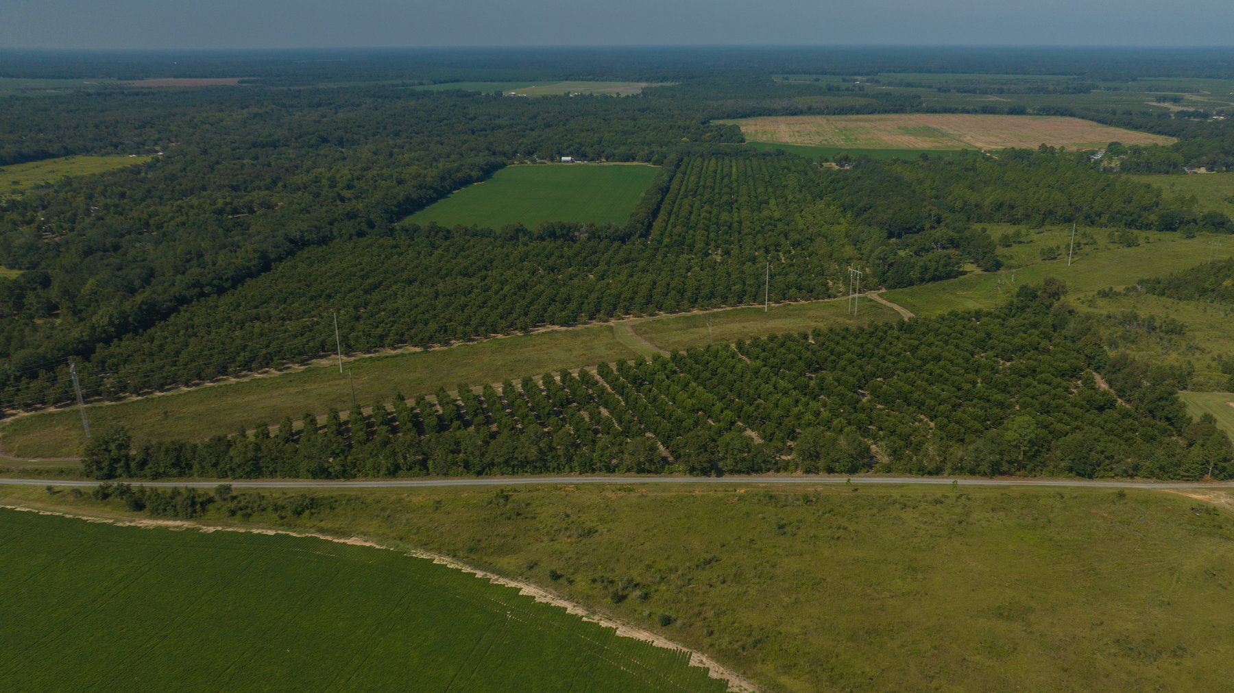 Image for 75+/- Acres - Vines Grove - Turn-Key Pecan Operation