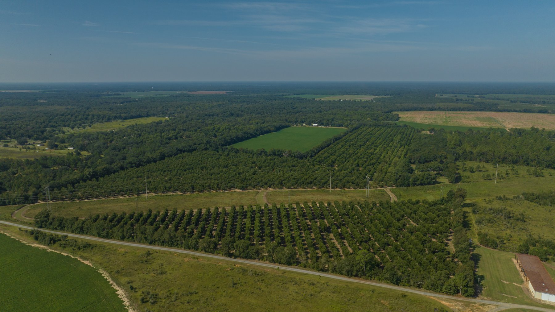 Image for 75+/- Acres - Vines Grove - Turn-Key Pecan Operation