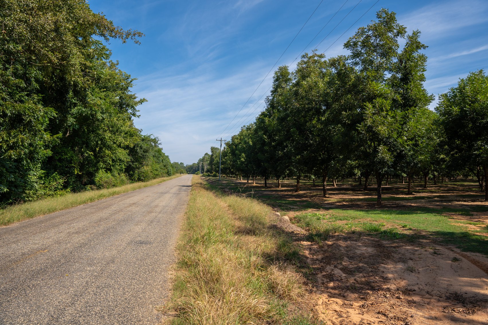 Image for 75+/- Acres - Vines Grove - Turn-Key Pecan Operation
