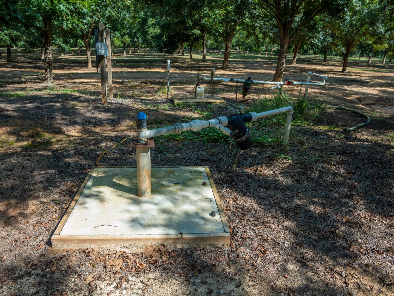 Image for 75+/- Acres - Vines Grove - Turn-Key Pecan Operation