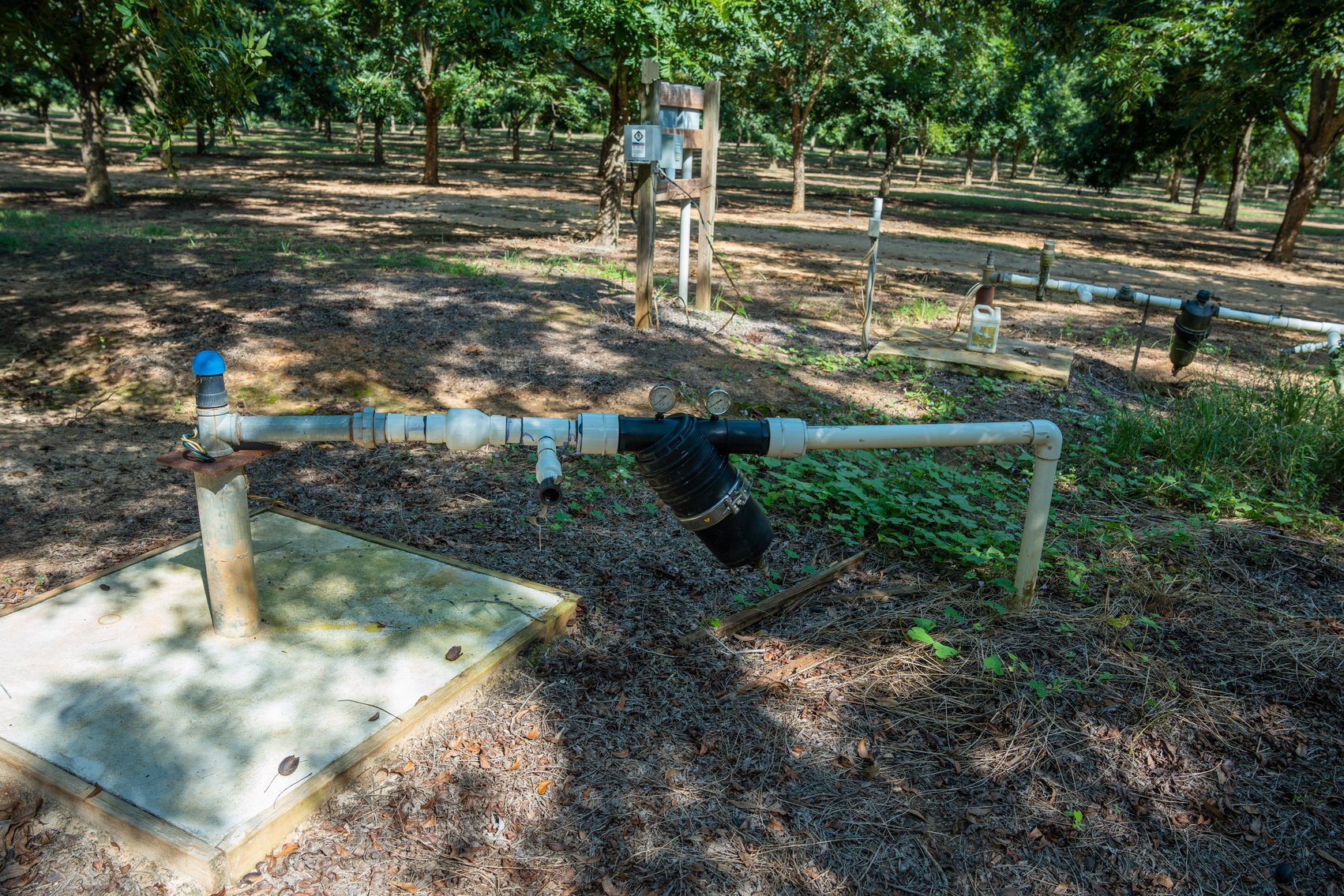 Image for 75+/- Acres - Vines Grove - Turn-Key Pecan Operation