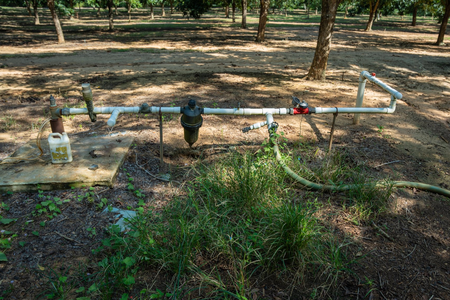 Image for 75+/- Acres - Vines Grove - Turn-Key Pecan Operation