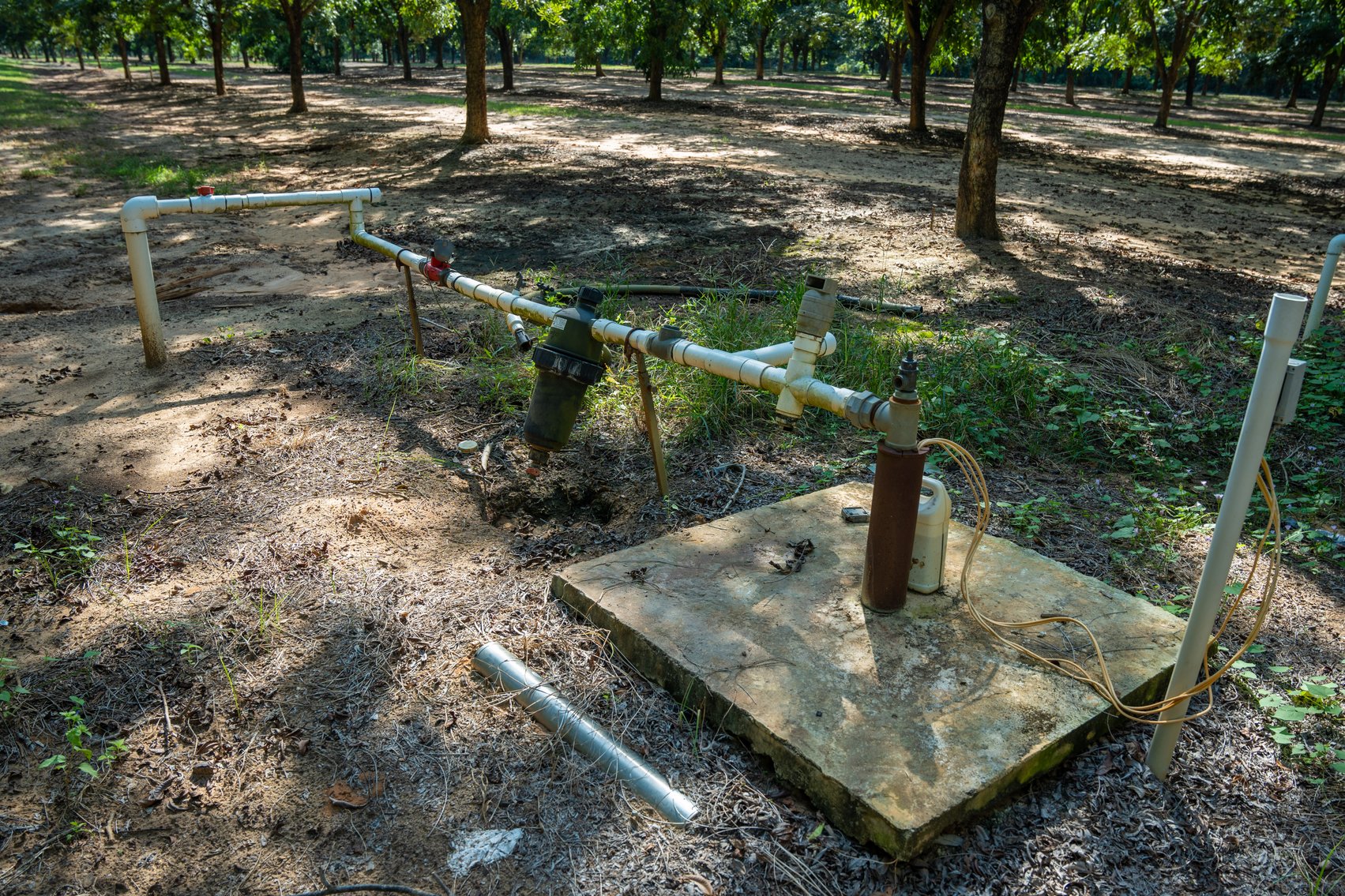 Image for 75+/- Acres - Vines Grove - Turn-Key Pecan Operation