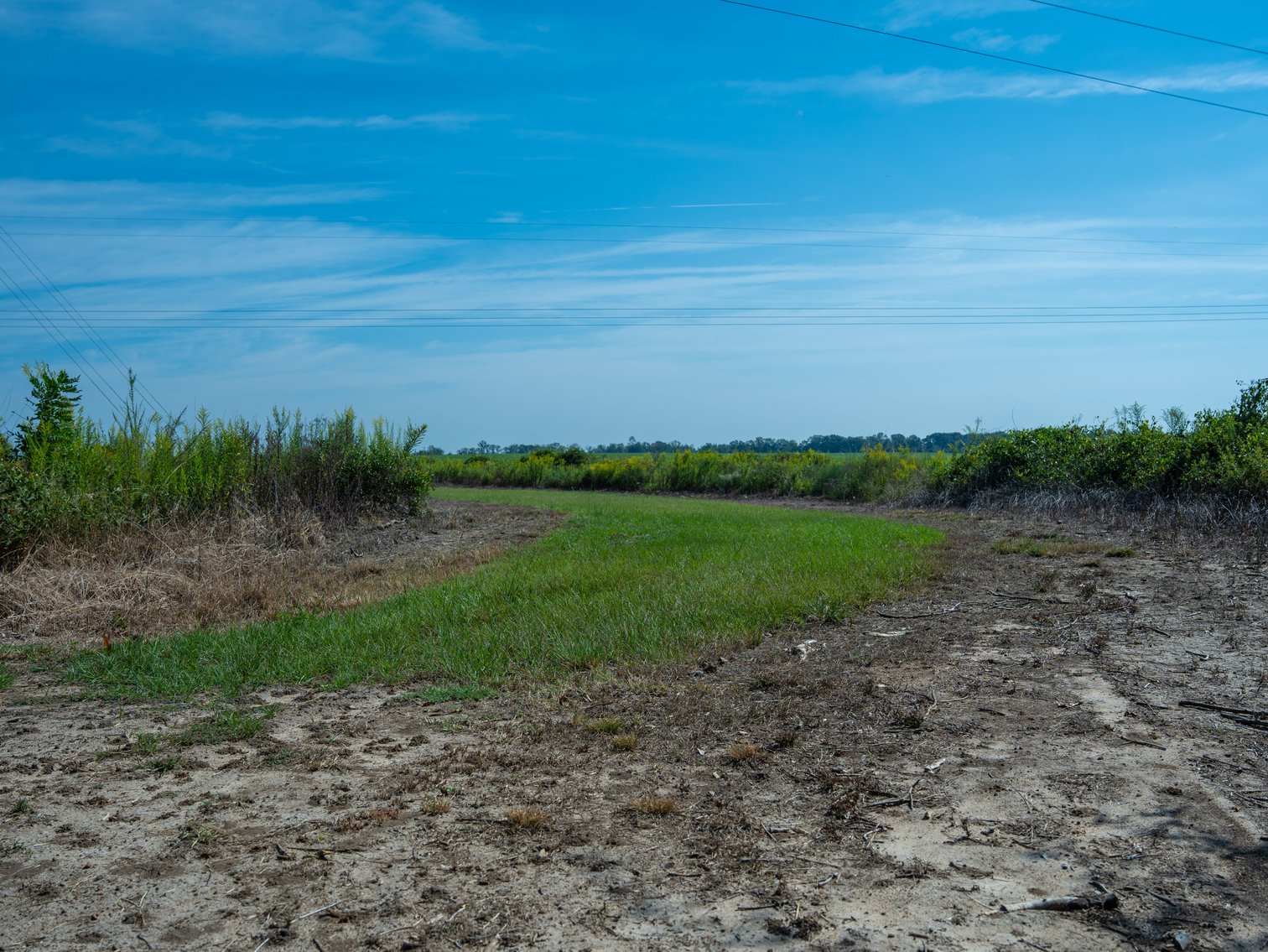 Image for 75+/- Acres - Vines Grove - Turn-Key Pecan Operation