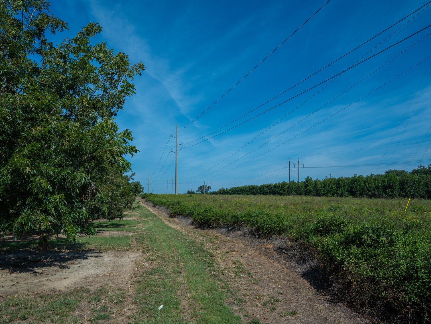 Image for 75+/- Acres - Vines Grove - Turn-Key Pecan Operation