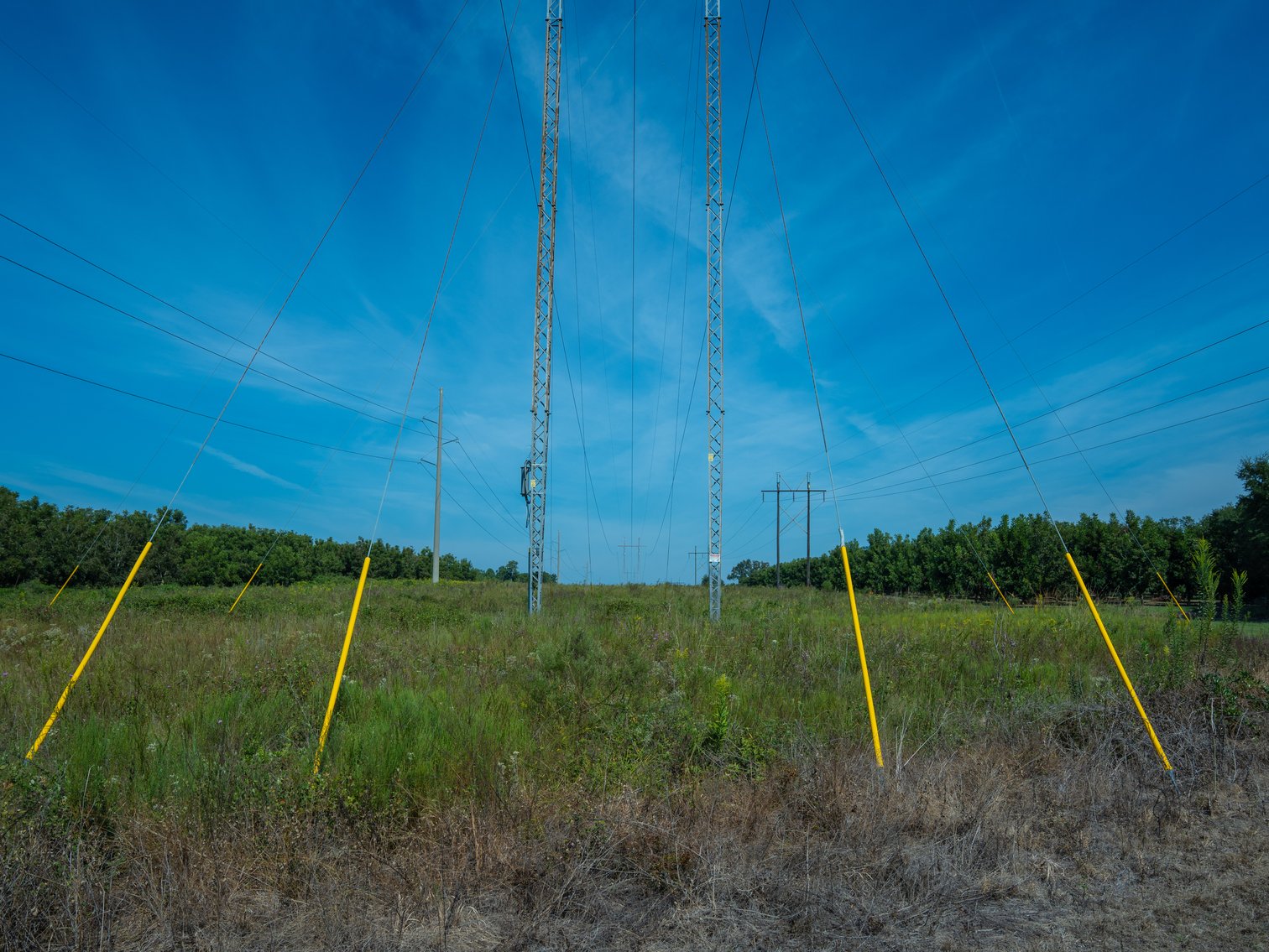 Image for 75+/- Acres - Vines Grove - Turn-Key Pecan Operation