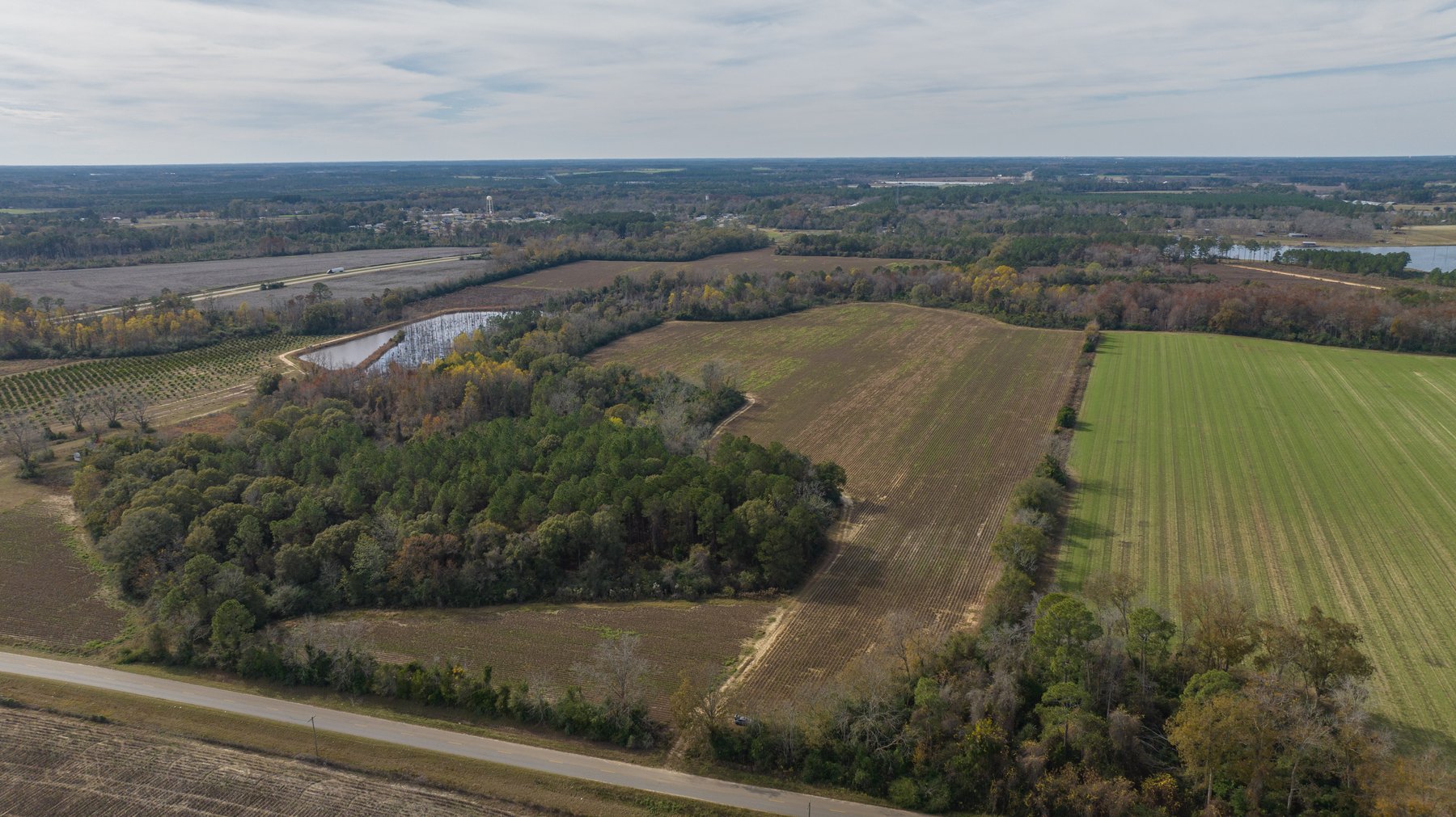 Image for RESERVE MET! 65+/- Acres - Row Crop Farmland Opportunity - Berrien County, Georgia