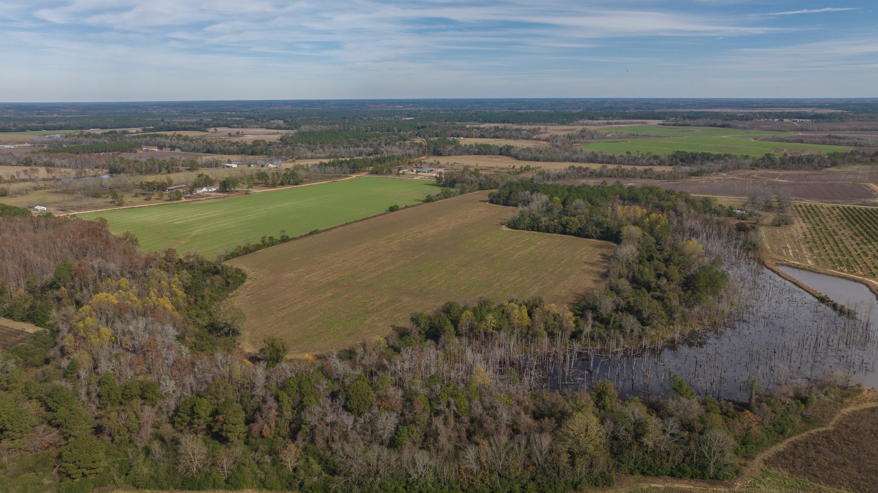 Image for RESERVE MET! 65+/- Acres - Row Crop Farmland Opportunity - Berrien County, Georgia
