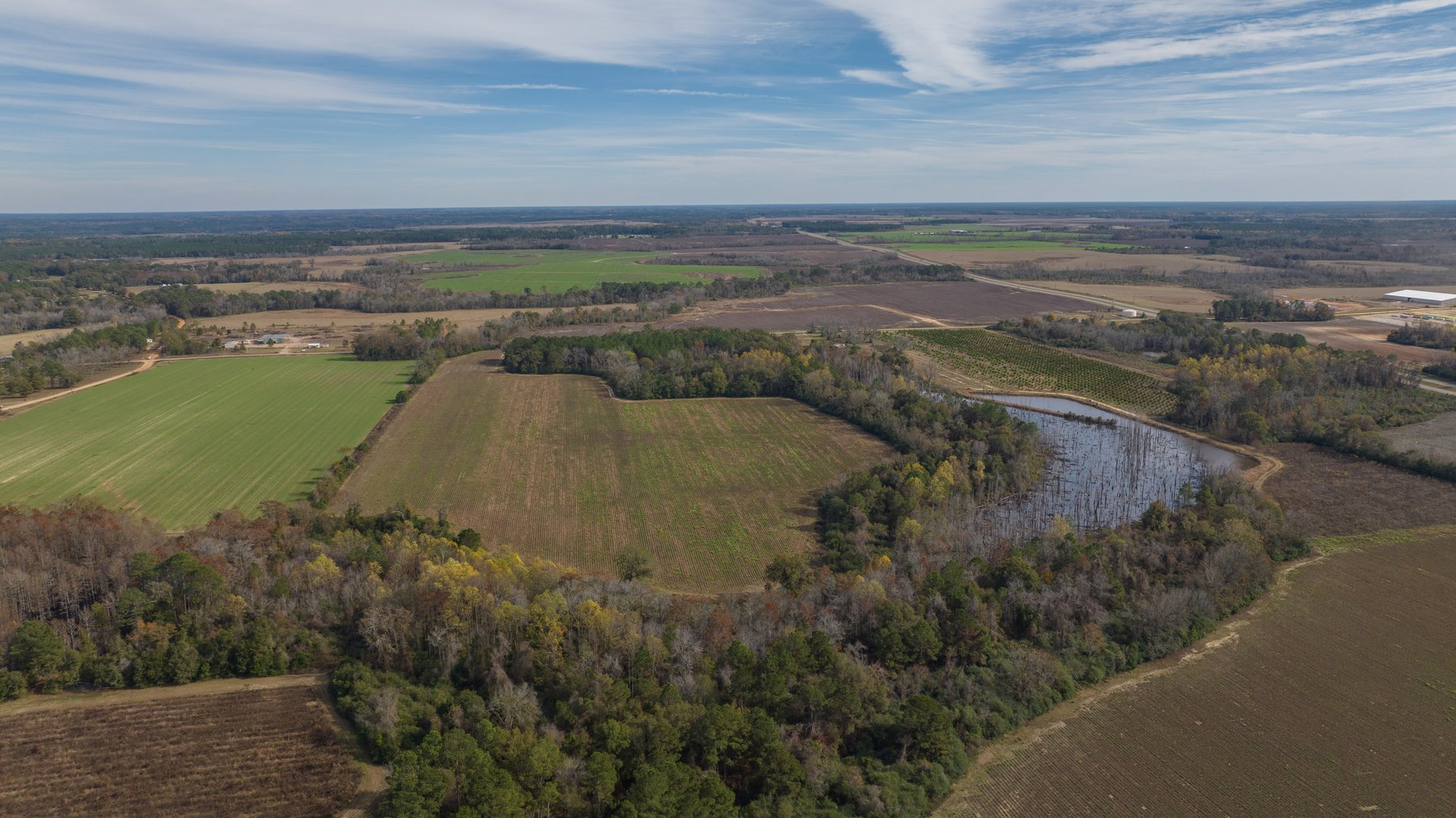 Image for RESERVE MET! 65+/- Acres - Row Crop Farmland Opportunity - Berrien County, Georgia