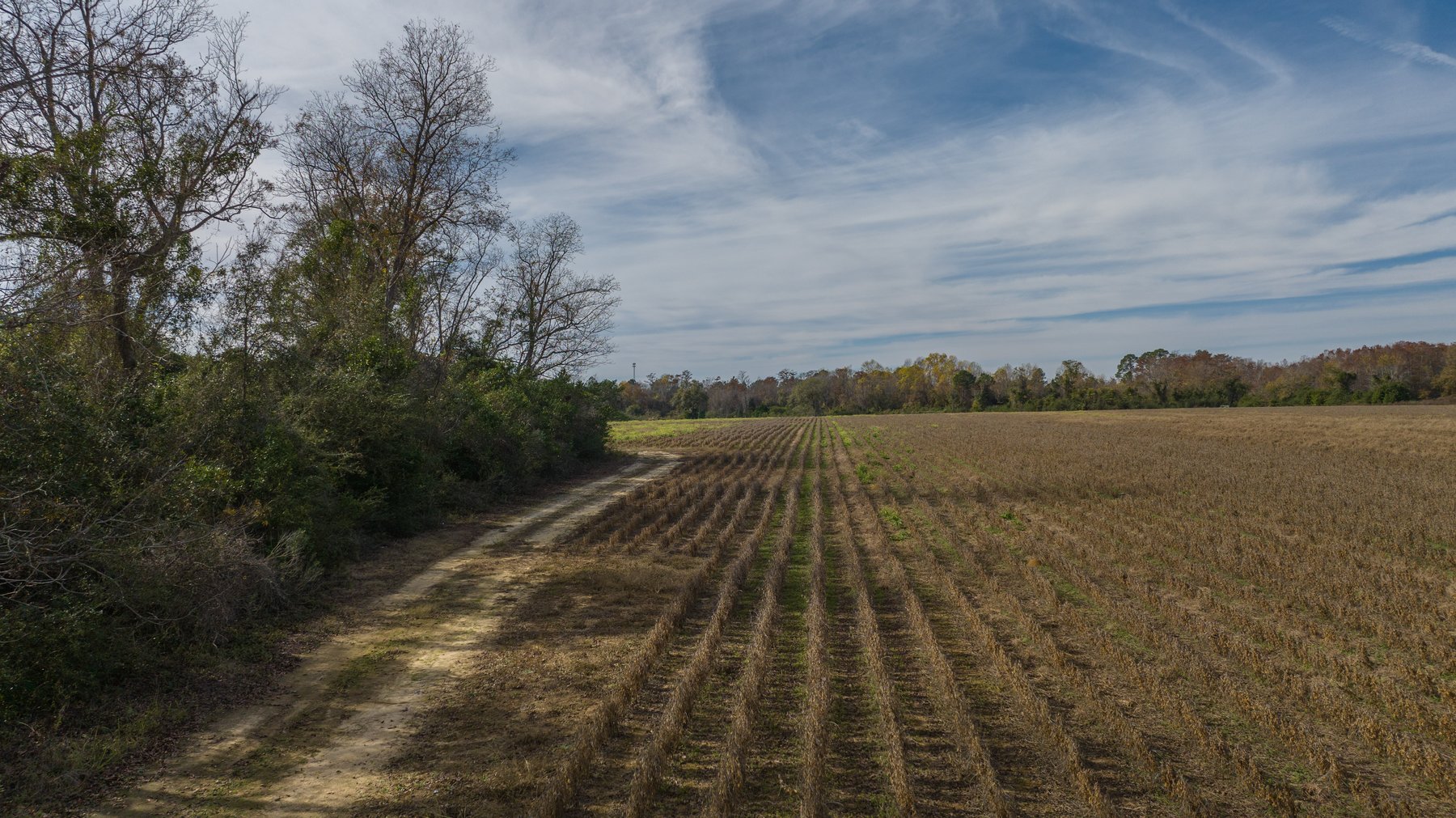 Image for RESERVE MET! 65+/- Acres - Row Crop Farmland Opportunity - Berrien County, Georgia