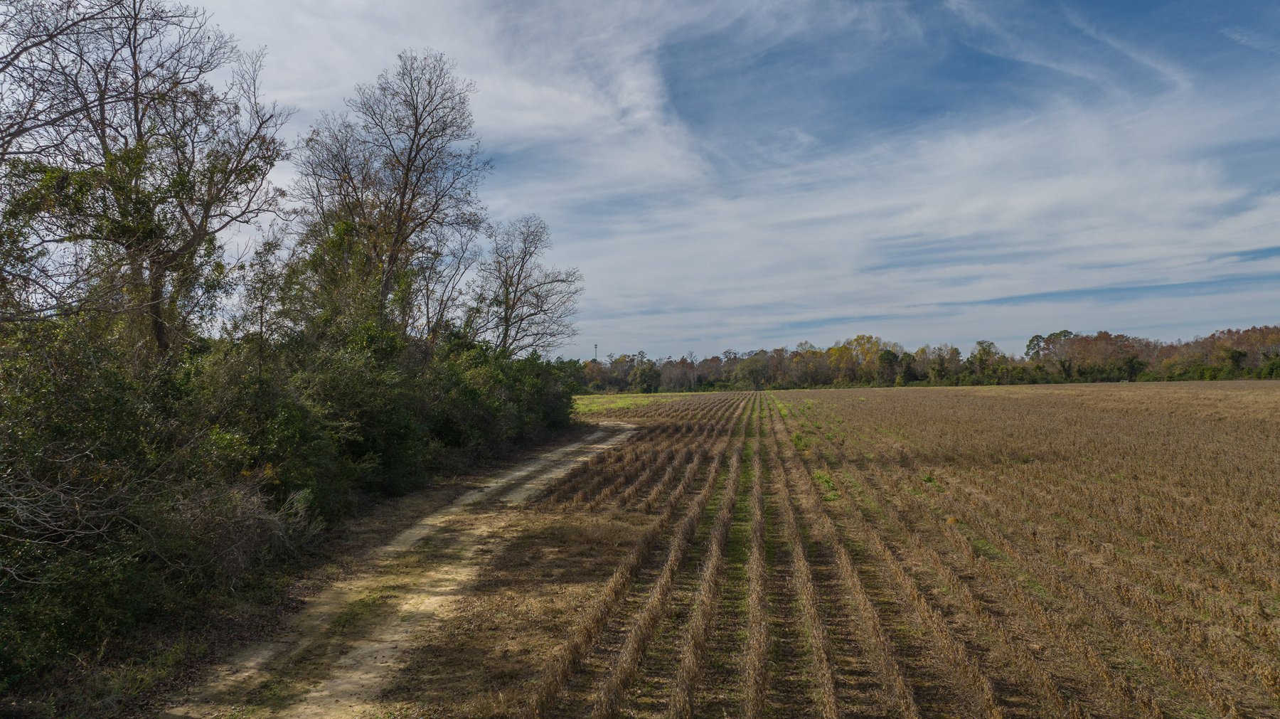 Image for RESERVE MET! 65+/- Acres - Row Crop Farmland Opportunity - Berrien County, Georgia