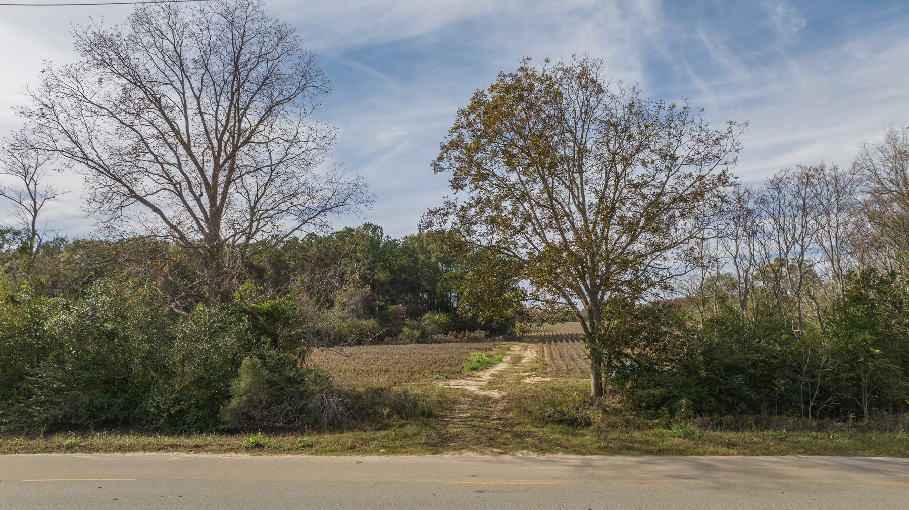 Image for RESERVE MET! 65+/- Acres - Row Crop Farmland Opportunity - Berrien County, Georgia