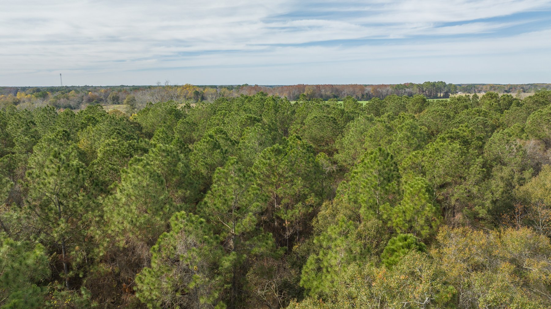 Image for RESERVE MET! 65+/- Acres - Row Crop Farmland Opportunity - Berrien County, Georgia