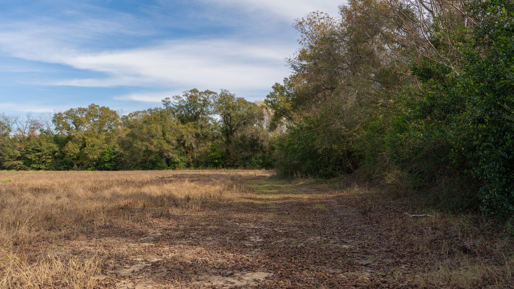 Image for RESERVE MET! 65+/- Acres - Row Crop Farmland Opportunity - Berrien County, Georgia