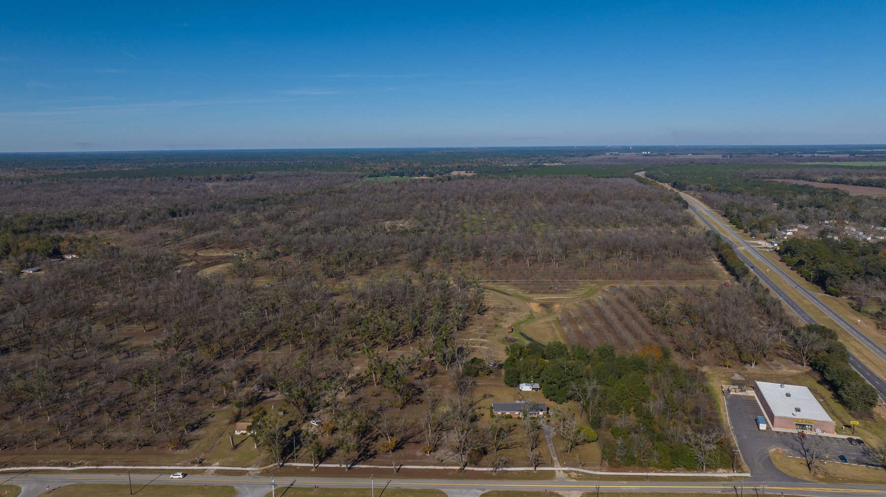 Image for 175+/- Acres - Cecil Tara Grove - Turn-Key Pecan Operation