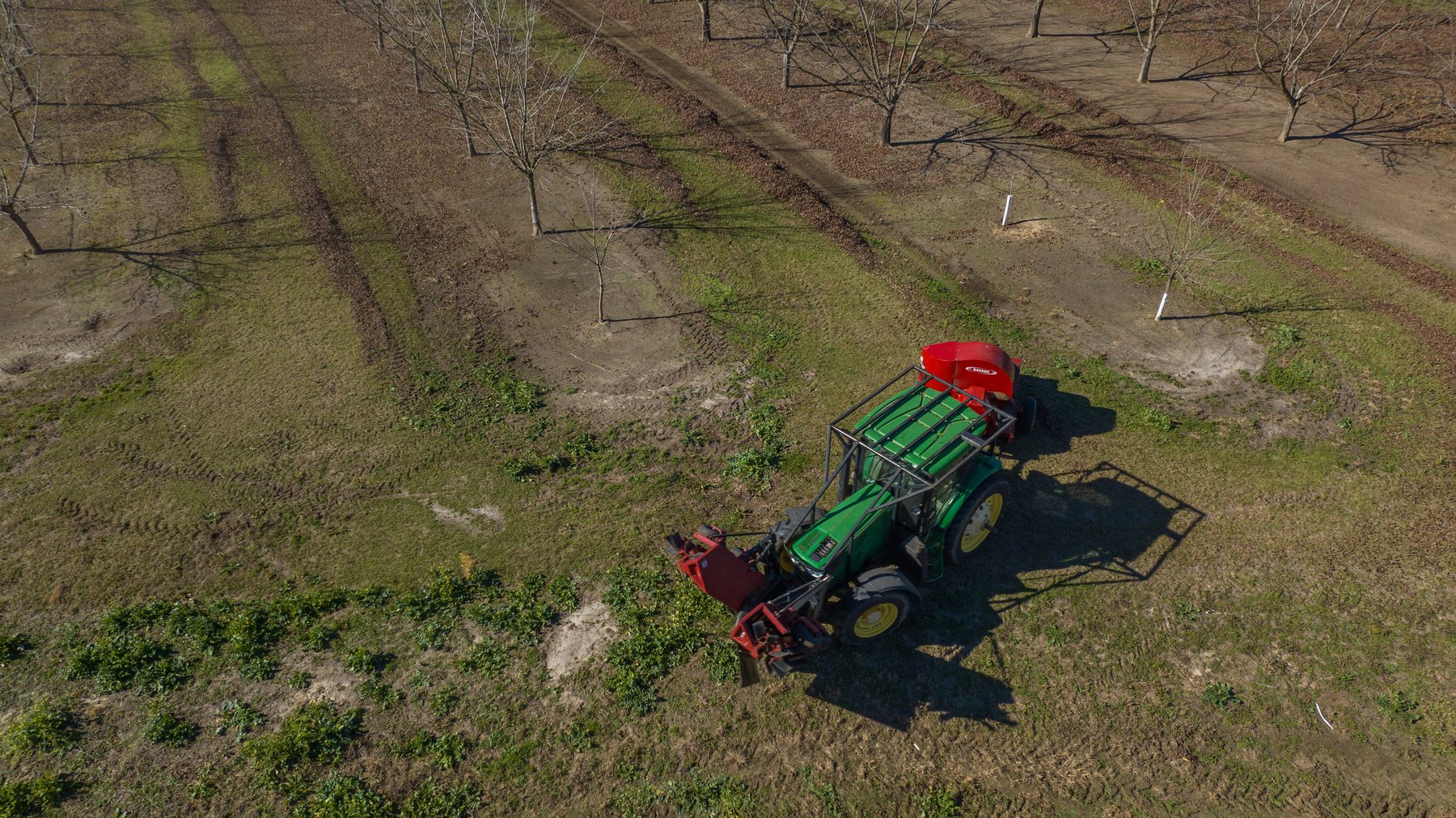 Image for 175+/- Acres - Cecil Tara Grove - Turn-Key Pecan Operation