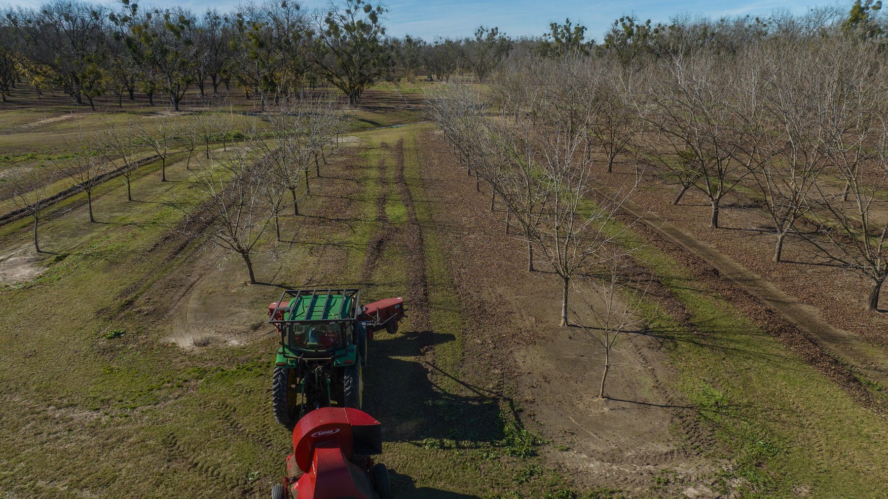 Image for 175+/- Acres - Cecil Tara Grove - Turn-Key Pecan Operation