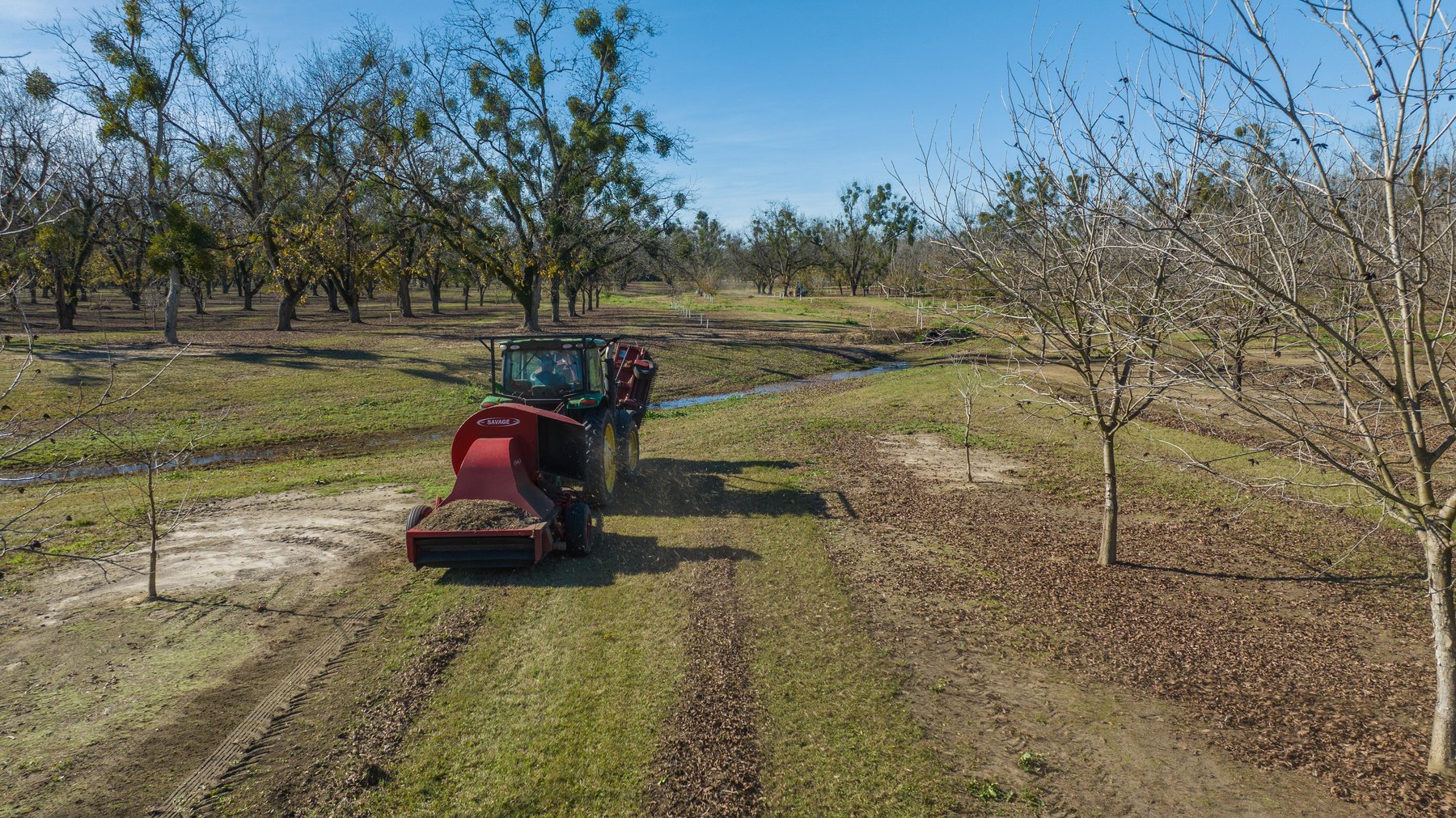 Image for 175+/- Acres - Cecil Tara Grove - Turn-Key Pecan Operation