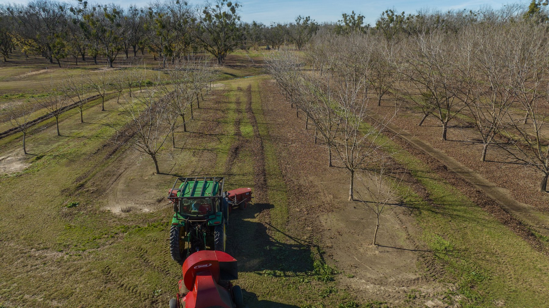 Image for 175+/- Acres - Cecil Tara Grove - Turn-Key Pecan Operation