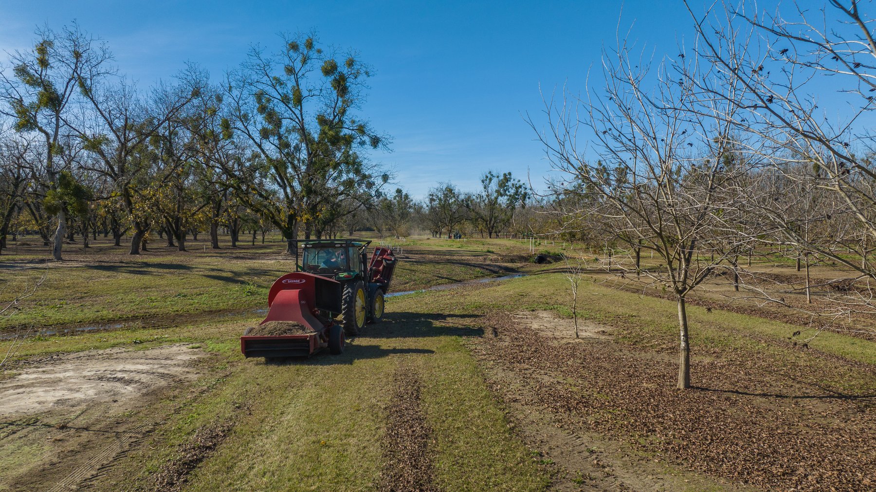 Image for 175+/- Acres - Cecil Tara Grove - Turn-Key Pecan Operation
