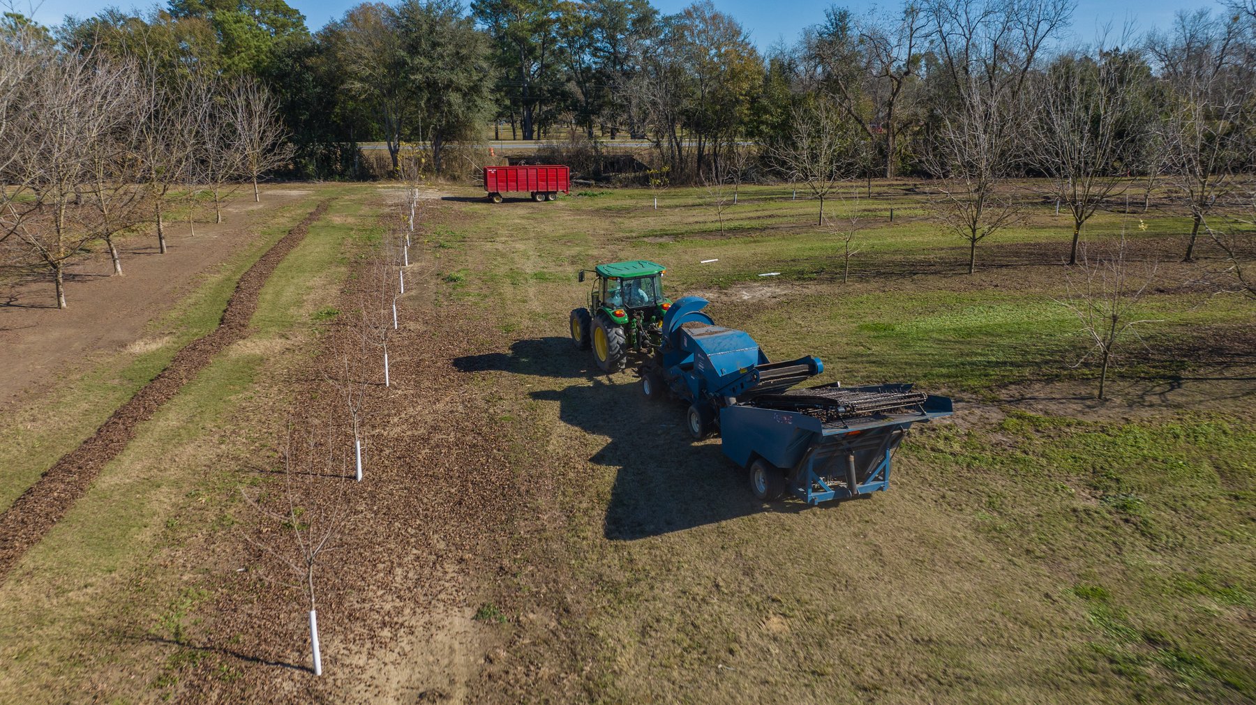 Image for 175+/- Acres - Cecil Tara Grove - Turn-Key Pecan Operation