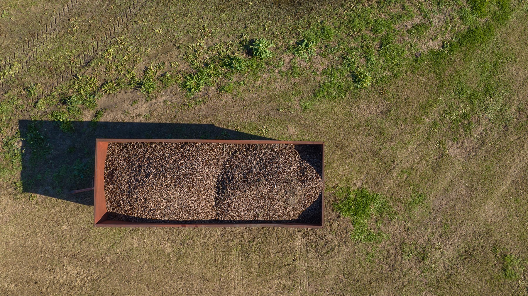 Image for 175+/- Acres - Cecil Tara Grove - Turn-Key Pecan Operation
