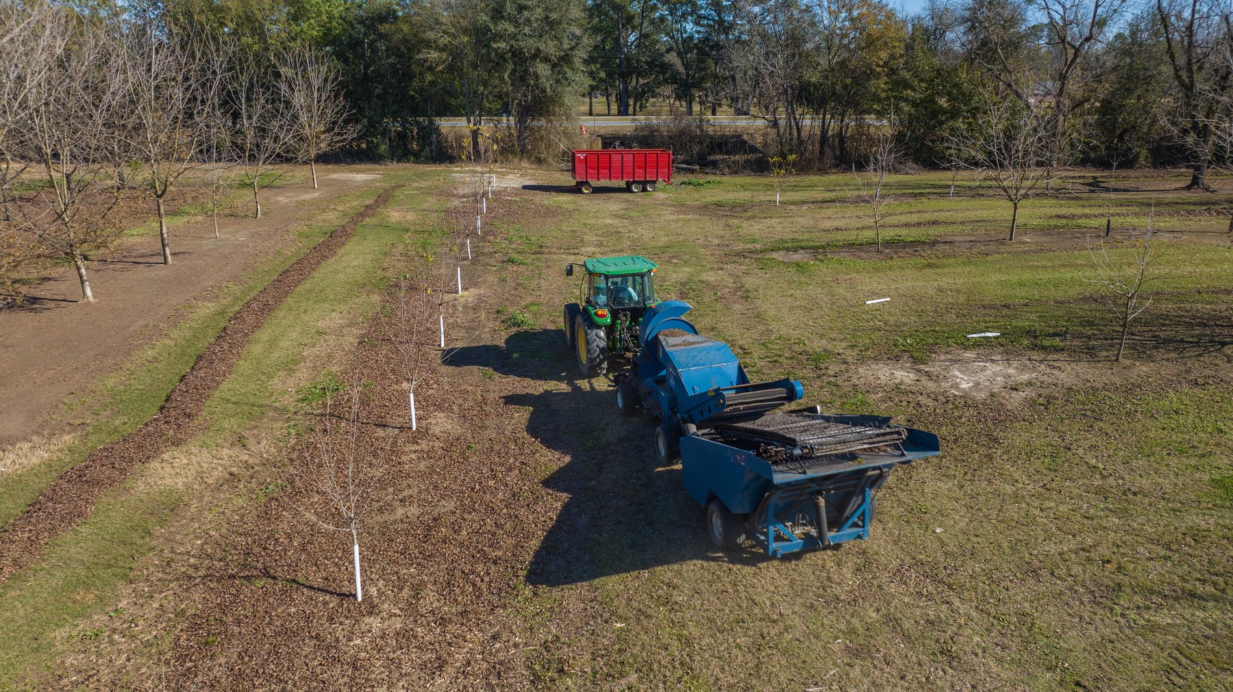 Image for 175+/- Acres - Cecil Tara Grove - Turn-Key Pecan Operation