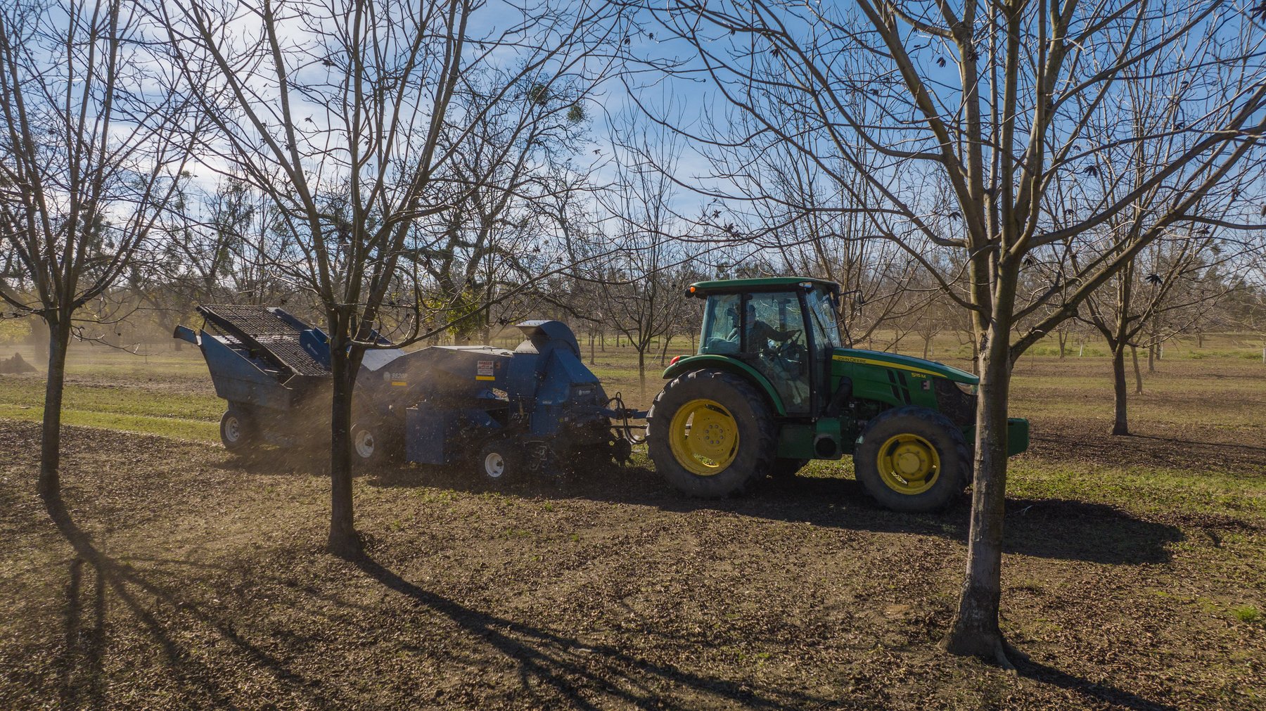 Image for 175+/- Acres - Cecil Tara Grove - Turn-Key Pecan Operation
