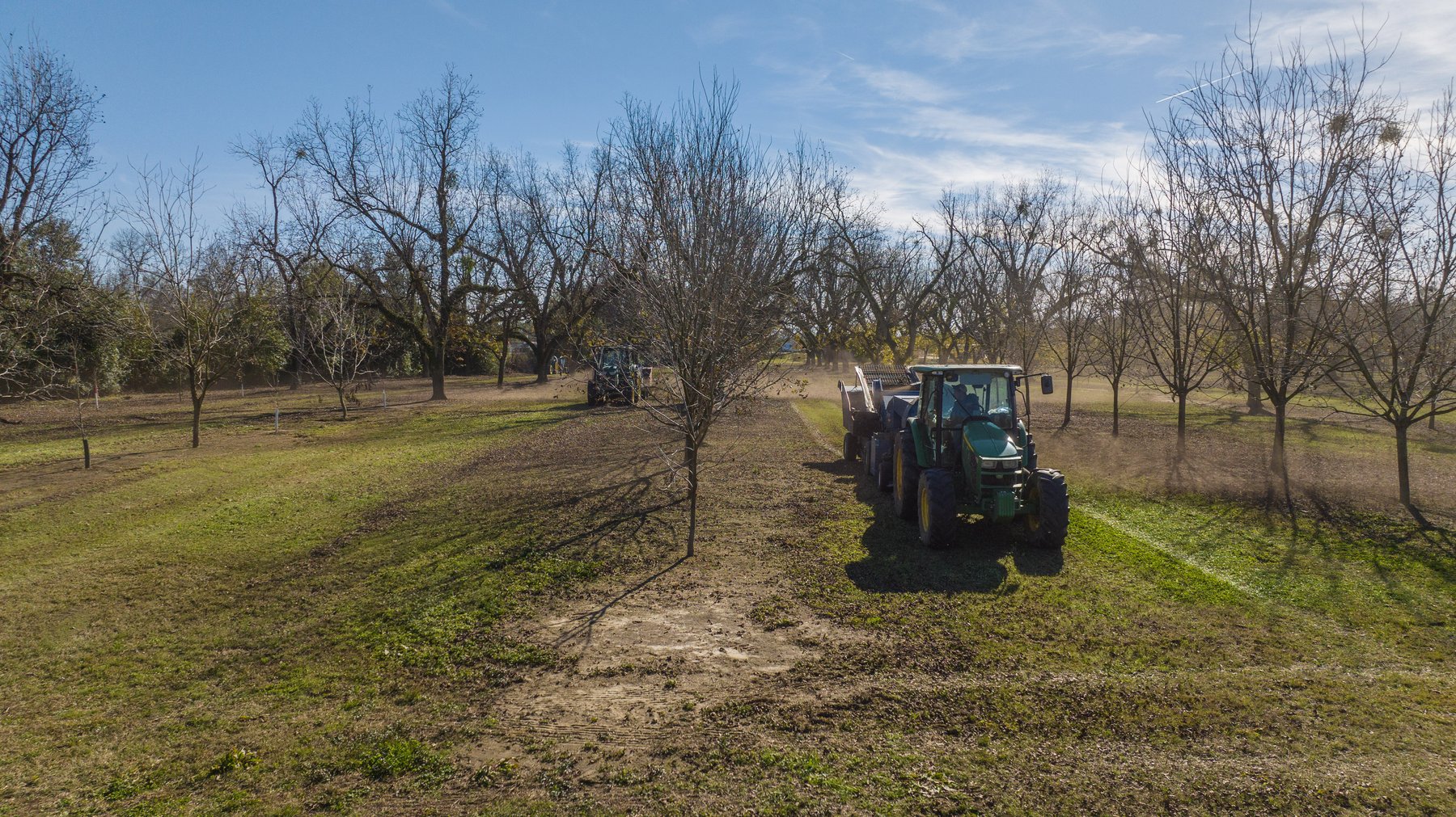 Image for 175+/- Acres - Cecil Tara Grove - Turn-Key Pecan Operation