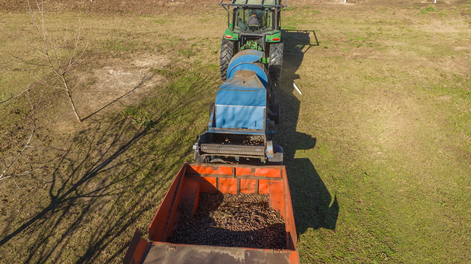 Image for 175+/- Acres - Cecil Tara Grove - Turn-Key Pecan Operation