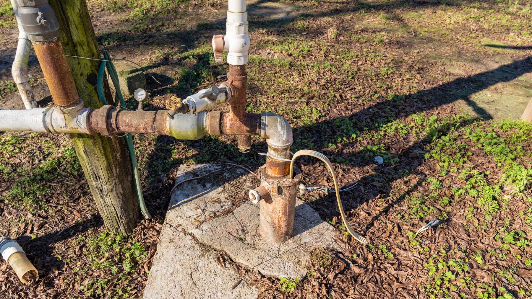 Image for 175+/- Acres - Cecil Tara Grove - Turn-Key Pecan Operation