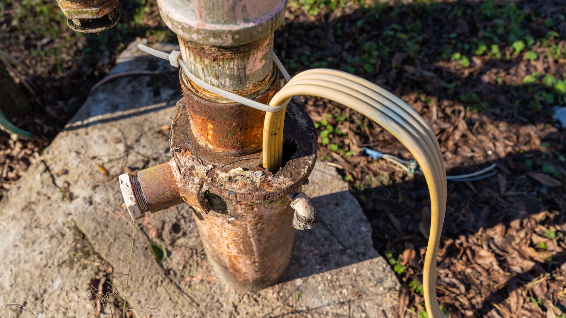 Image for 175+/- Acres - Cecil Tara Grove - Turn-Key Pecan Operation