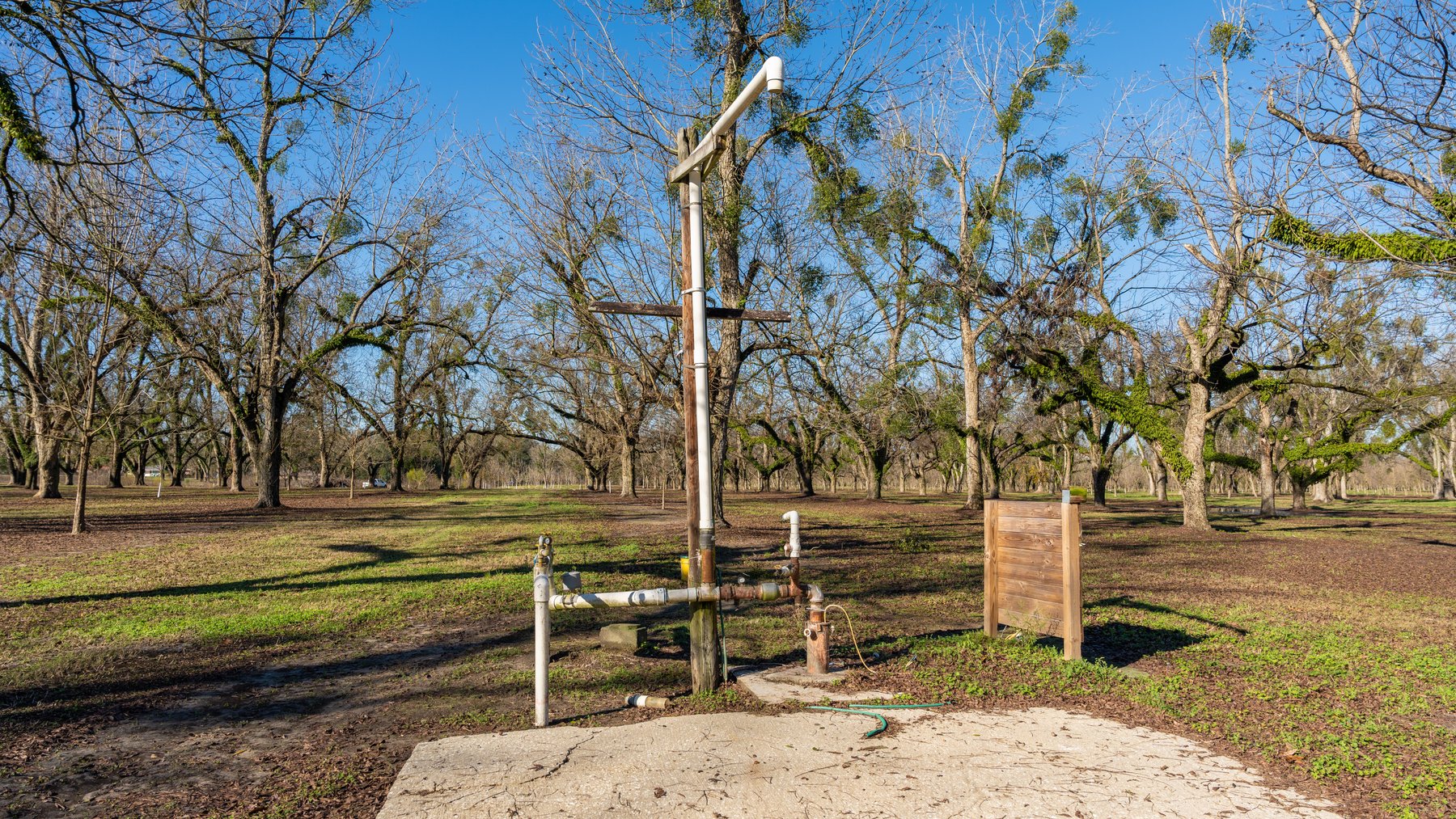 Image for 175+/- Acres - Cecil Tara Grove - Turn-Key Pecan Operation