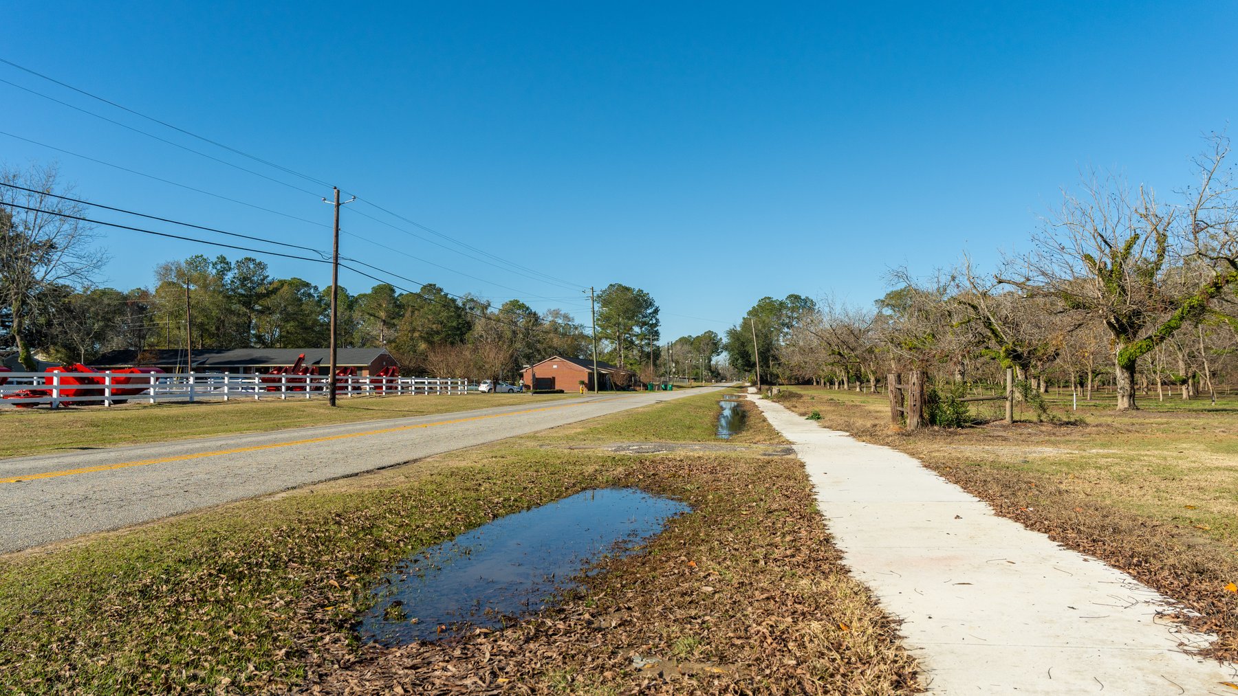 Image for 175+/- Acres - Cecil Tara Grove - Turn-Key Pecan Operation