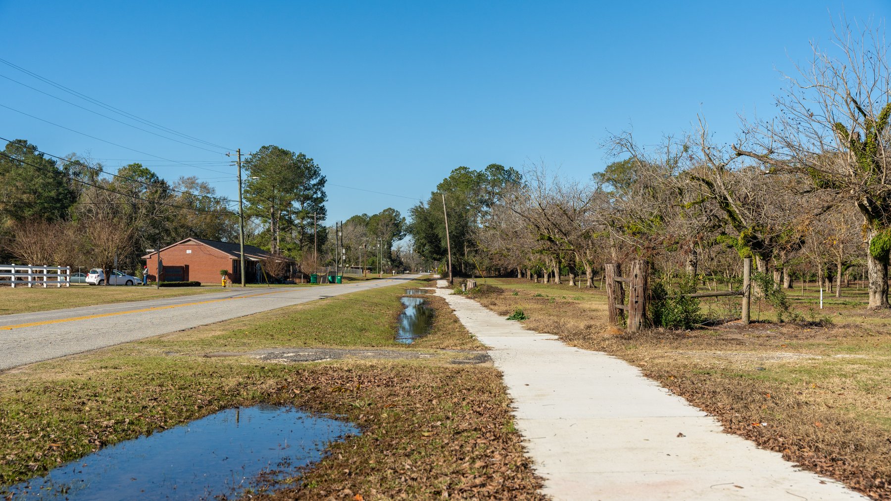 Image for 175+/- Acres - Cecil Tara Grove - Turn-Key Pecan Operation