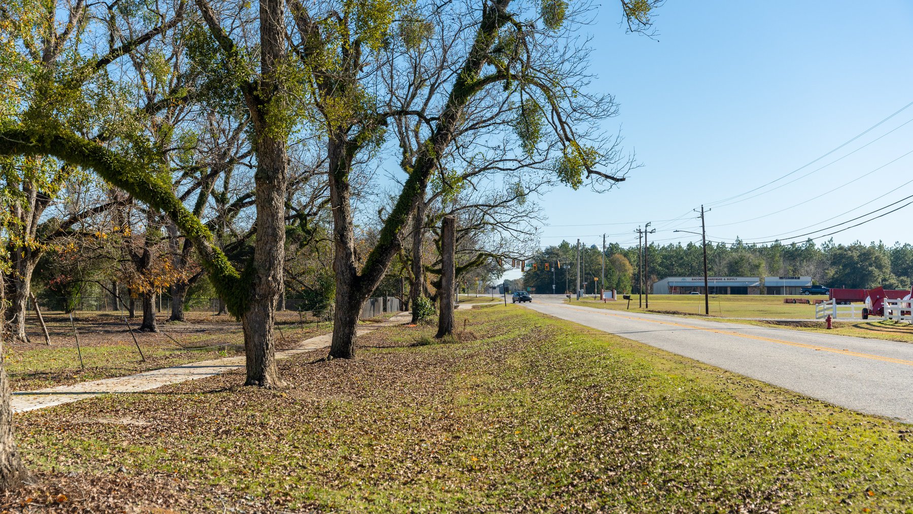 Image for 175+/- Acres - Cecil Tara Grove - Turn-Key Pecan Operation