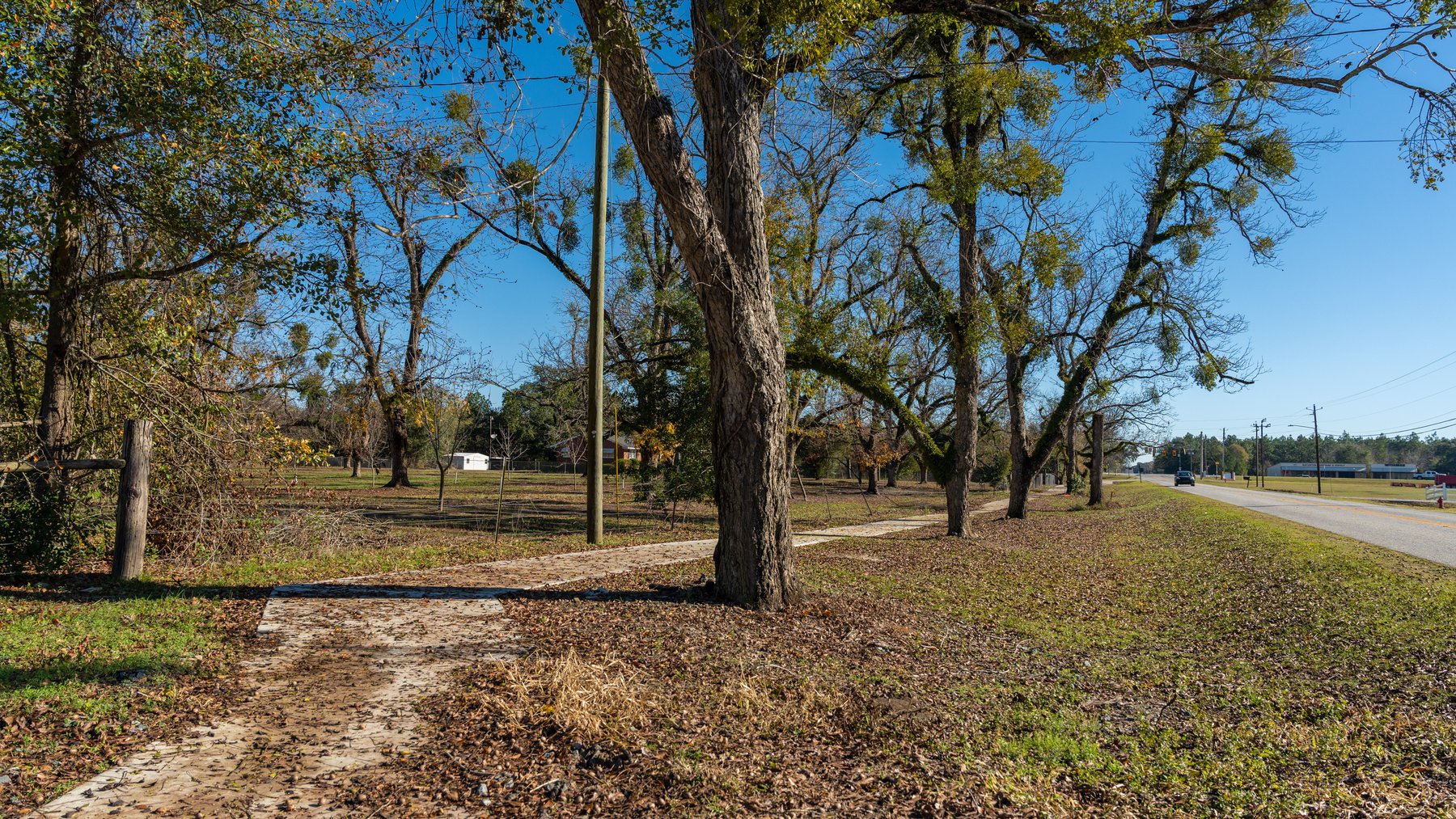 Image for 175+/- Acres - Cecil Tara Grove - Turn-Key Pecan Operation