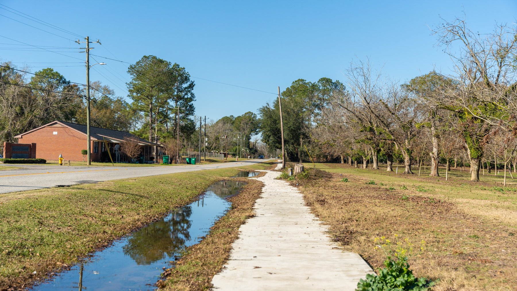 Image for 175+/- Acres - Cecil Tara Grove - Turn-Key Pecan Operation